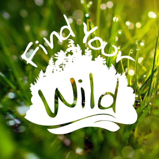 FindYourWild1's profile picture. We offer you an escape from the pressures of the city and give you the opportunity to find your ‘wild side’ in the beautiful woodlands of Muskoka.