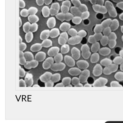 It’s your favorite bacteria VRE in da house 🏡 Vancomycin Resistance Enterococcus