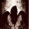 Angel_150913's profile picture. Located east of the Rockies and west of the rest.   ᛏ︍ᚬ︍ᚾᛏ᛫ᛒᛅ︍᛫ᚬᚾ᛫ᚬᛋᚼᚬ︍ᛚᛅ︍