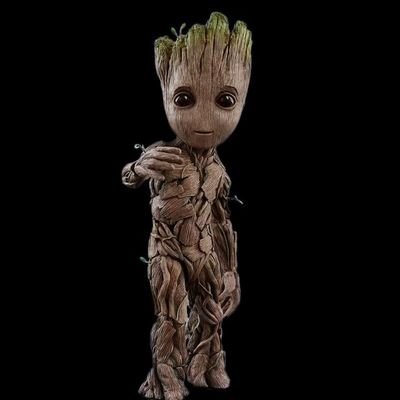 I have a youtube channel and I like all of these things Sports NFL WWE MLB Soccer NCAA Football MLS Football (US) Gaming Games Fun Cute Animals Memes