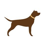 Pet Supplies 🐕⠀⠀⠀⠀❗️Affordable Prices❗️ ⠀⠀⠀⠀Dog Products and Accessories 🐾