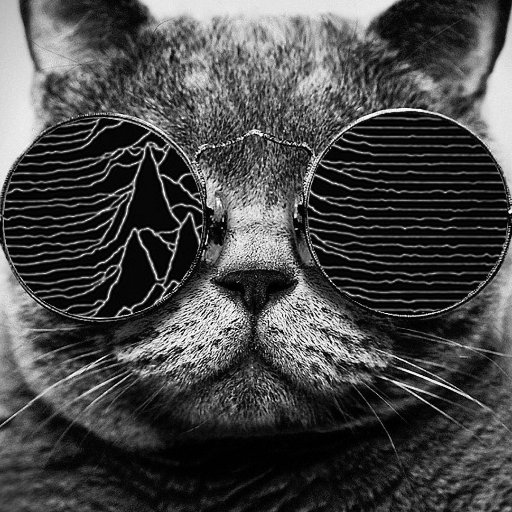 Markh200's profile picture. 