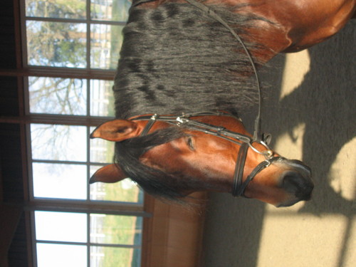 Andalucian's profile picture. 