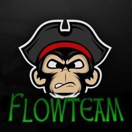 FlowTeam2's profile picture. Clan competitivo