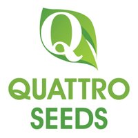 Quattro Seeds(@QuattroSeeds) 's Twitter Profile Photo