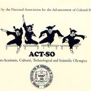 a yearlong achievement program designed to recruit, stimulate, and encourage high academic and cultural achievement among African-American high school students!