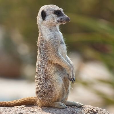 dr1ko_'s profile picture. 