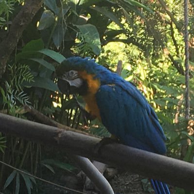 valerita2011's profile picture. 