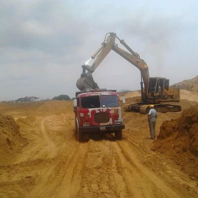 danielexcelente's profile picture. 