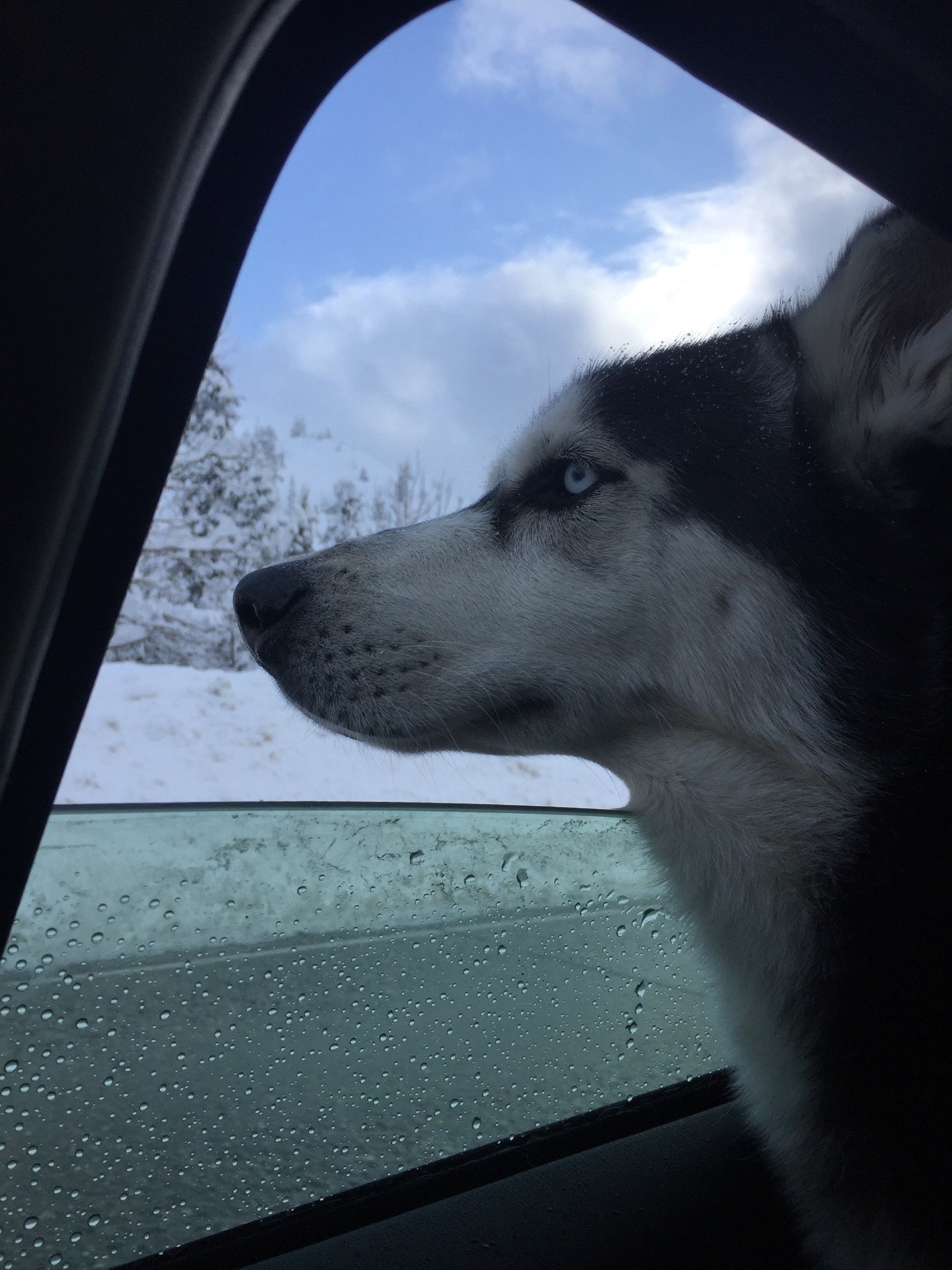 Garoto_do_Rio's profile picture. 