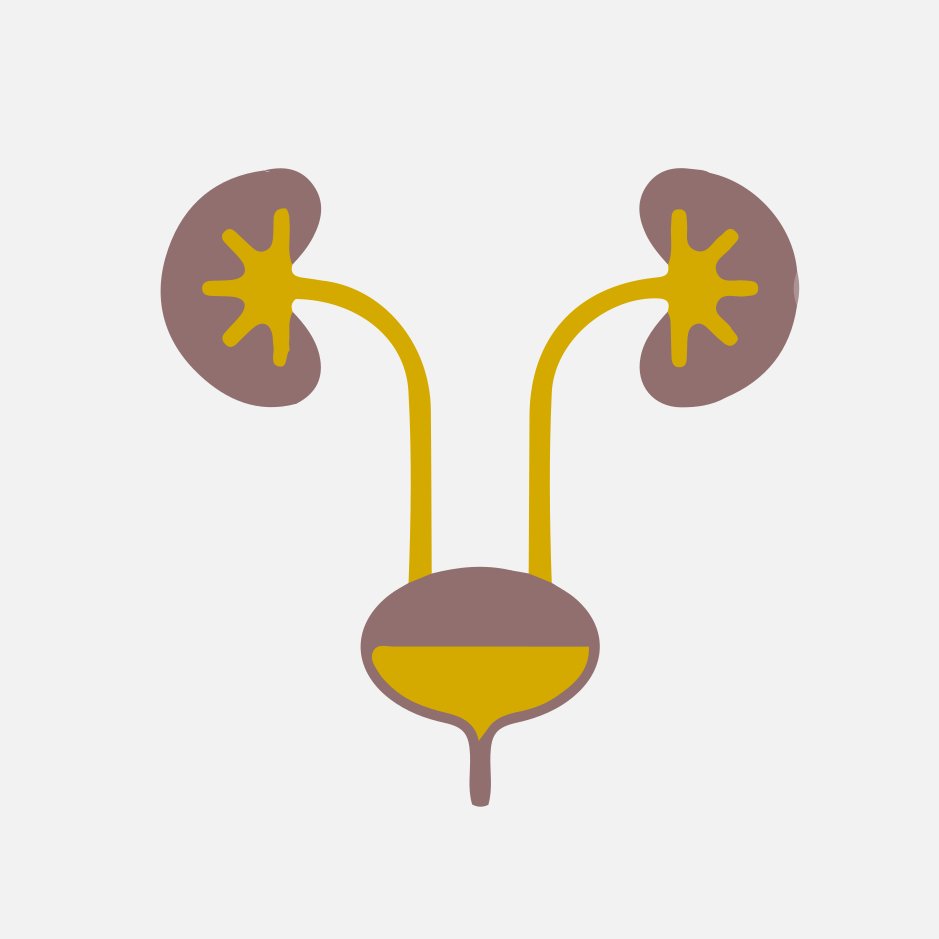 Urología para su vida diaria.
Somos urólogos certificados con el propósito de orientar, educar y aconsejar al público en general. Envía tus preguntas!