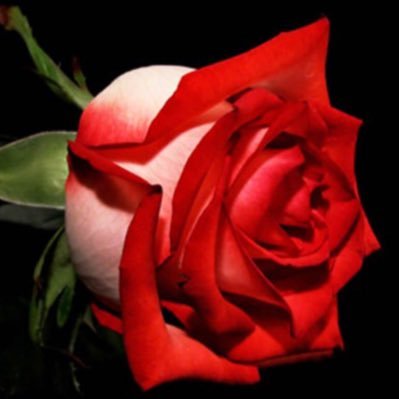 moneytalkonly's profile picture. New beginnings in this bitch
