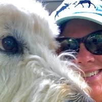 Alida (@amhaslett1) 's Twitter Profile
