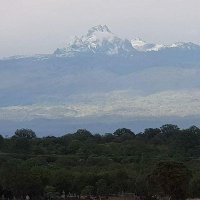 Nderitu Wangui, MD, MSc. (Ongoing)🗻🇰🇪🇺🇬 (@muthiajnr) 's Twitter Profile
