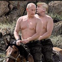 Trumpy McPutin(@TrumpyMcPutin) 's Twitter Profile Photo