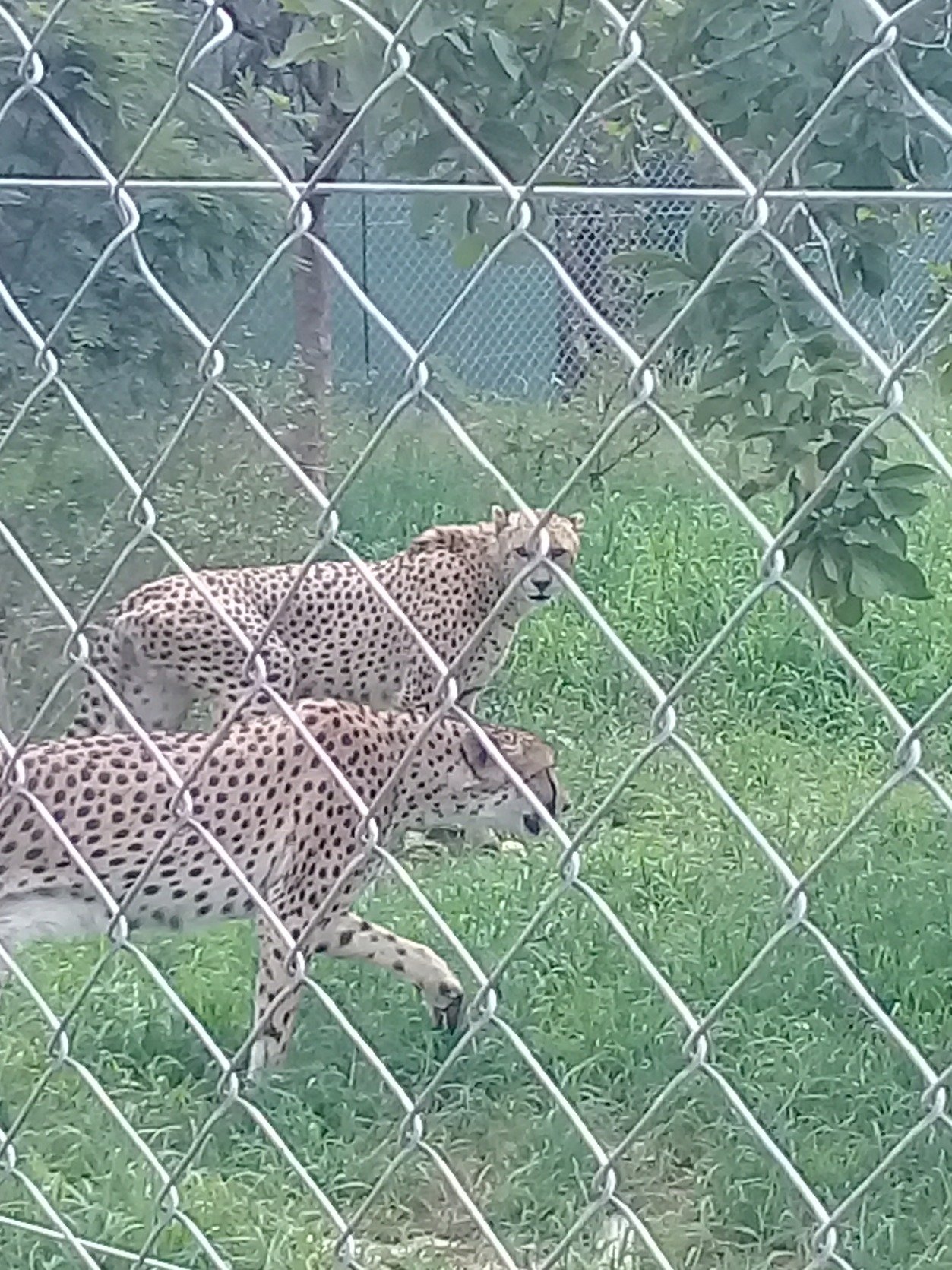 Keylocker5's profile picture. 