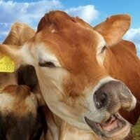 Langage Dairy Farm (@langagefarm) 's Twitter Profile
