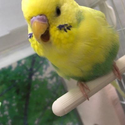 つかささんのプロフィール画像