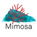 Mimosa-Project (@mimosafpa2m) Twitter profile photo Mimosa-Project (@mimosafpa2m) Twitter profile photo