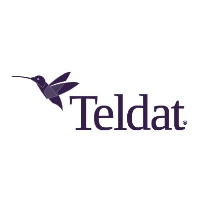 TeldatCorp Profile Picture