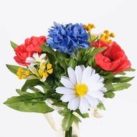 Azouz Souad (@souadazouz) 's Twitter Profile Photo