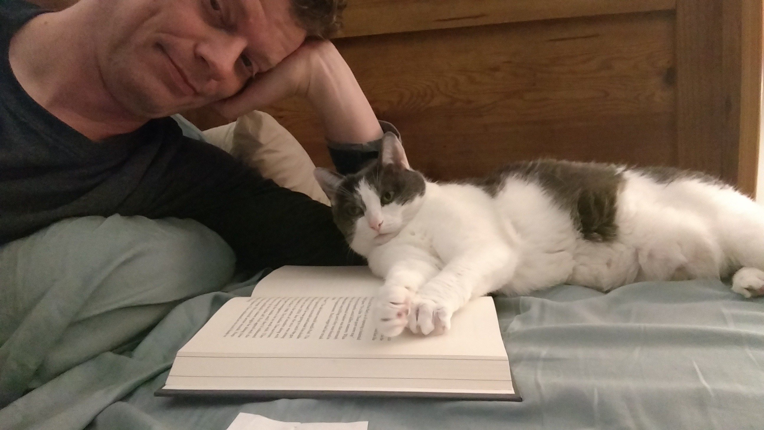 jaytku's profile picture. My hobby: following people on Twitter and not harassing them.

Trans rights are human rights. Abortion is healthcare.

He / Him