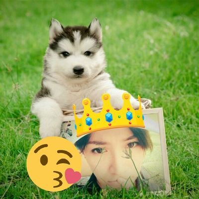 ☀南国の内気なシーサー
少しずつ自己紹介していきます❗( -_・)?
勝ってな意見ツイートします。😜🙏😄😒⤴⤵💡❔👅
ちょっぴりイタズラなツイートも👅
好きなアーティスト🎵
fivestar LGY Da-ice
KG 奥華子 jimama 等(など)
好きな芸人🎤
ダウンタウン