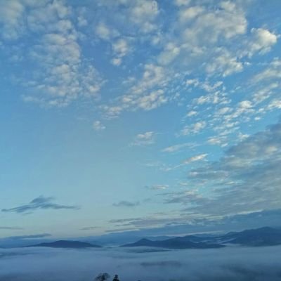 DinThitipat's profile picture. 