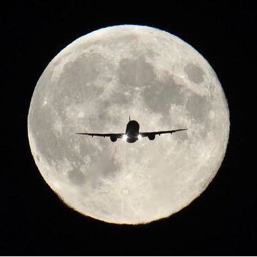 SonOfTheDesert5's profile picture. فَأَسَرَّهَا يُوسُفُ فِي نَفْسِهِ وَلَمْ يُبْدِهَا لَهُمْ