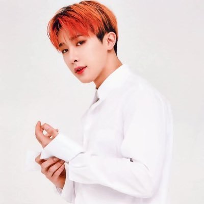 lovelywonho's profile picture. ⭐️real recognize real // 170923 ⭐️