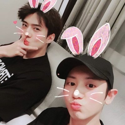 imminkok's profile picture. sehun & chanyeol                                     EXO