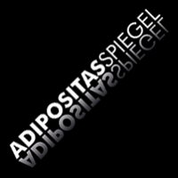 AdipositasSpiegel (@acsdev_magazin) Twitter profile photo
