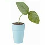 QE1JKaV7PqsnVo0's profile picture. 20↑ 毎日目が幸せです 無言フォローすみません