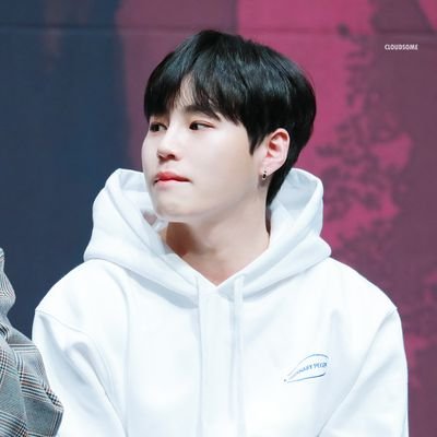 하성운 관련 총공시 사용합니다