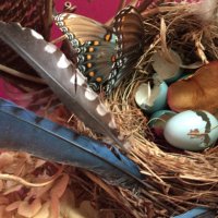 Suzy Starnes (@starcreations) 's Twitter Profile Photo Suzy Starnes (@starcreations) 's Twitter Profile Photo