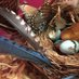 Suzy Starnes (@starcreations) Twitter profile photo Suzy Starnes (@starcreations) Twitter profile photo