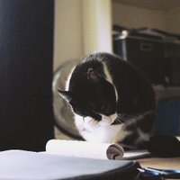 Carol Granges (@granges_ca) 's Twitter Profile