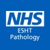 ESHT_Pathology 💙 (@esht_pathology) Twitter profile photo ESHT_Pathology 💙 (@esht_pathology) Twitter profile photo