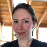 sarah lippincott (@sarahlippincott) 's Twitter Profile