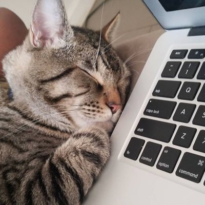 shotimemooks's profile picture. meet me at price club