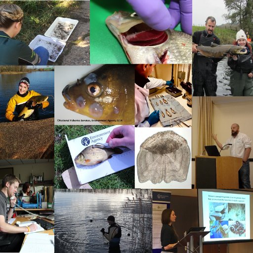 Environment Agency Fish Health, Ageing and Non-Native Species Team