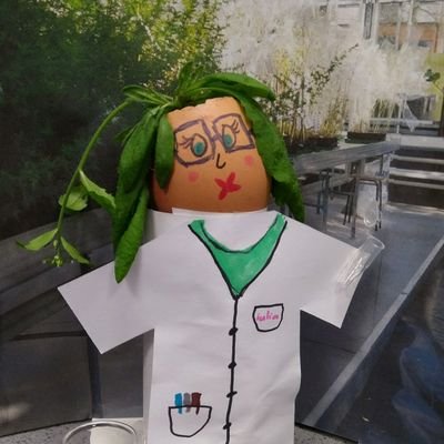 iulibob's profile picture. Scientist. 
Loves musical theatre, cats, science, books, equality&more