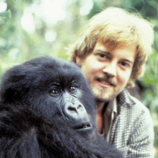 Author, A FOREST IN THE CLOUDS: MY YEAR AMONG THE MOUNTAIN GORILLAS IN THE REMOTE ENCLAVE OF DIAN FOSSEY  (I'm the hairy one in the picture.)