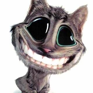 CiscoMorales's profile picture. 