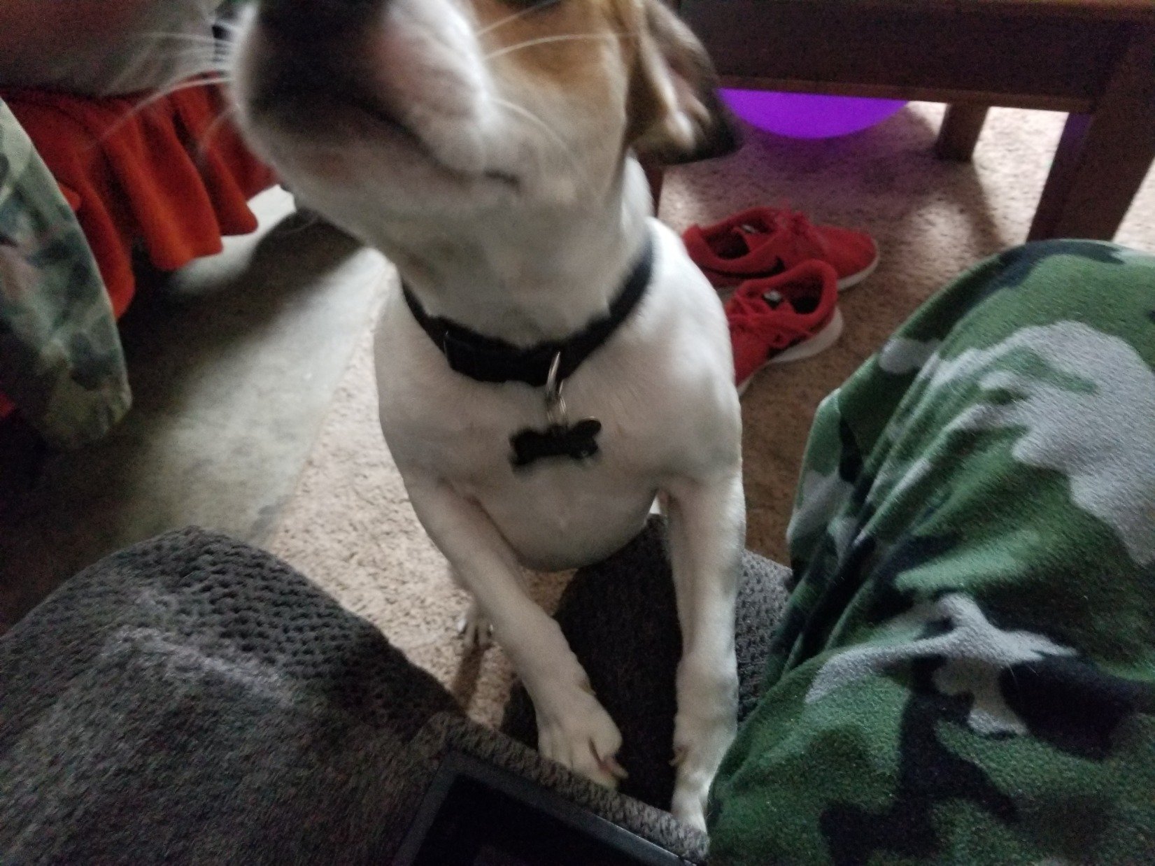 Chokinmymonkey's profile picture. lost in love what a feeling