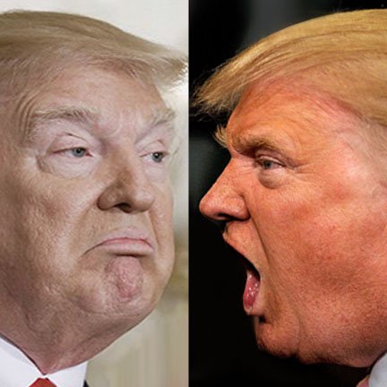 TRUMP1vsTRUMP2's profile picture. Like Spy vs Spy but there is only one spy & he is a double agent.