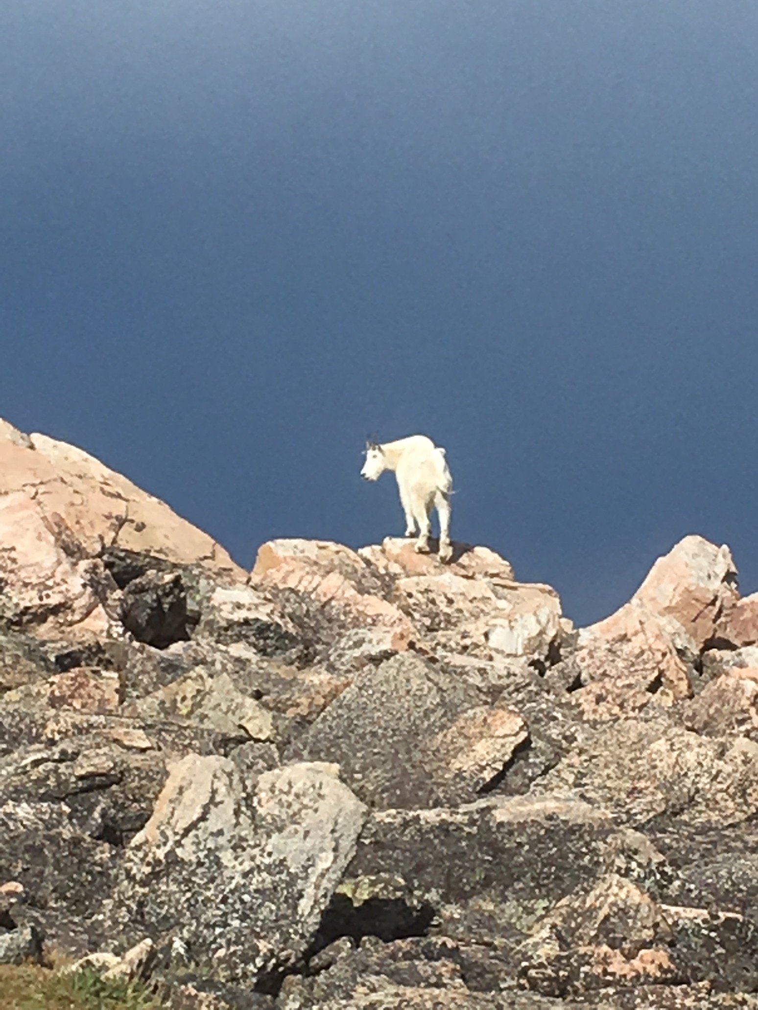 Ranching4fun's profile picture. Trudeau sucks