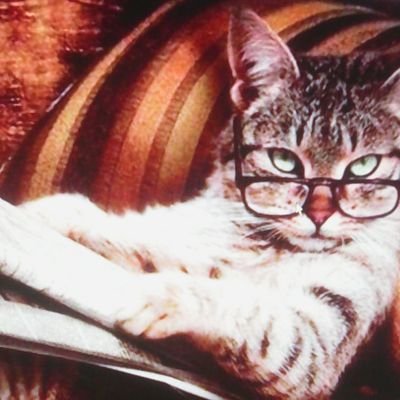 sellermi's profile picture. Vzla luchadora social por amor a mi pais libre e independiente. exdirigente estudiantil