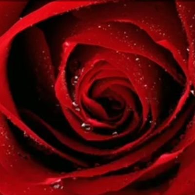 bu insanoğlu ne kadar âcizdir
ömrünü dilediği gibi geçiremez
insan dileğine kavuşsa yaşamasını bilmez
yaşasa da dileğine kavuşamaz ey hakîm
.. Kutadgu Bilig
