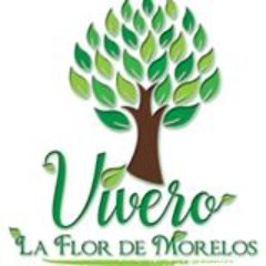 FlorVivero Profile Picture